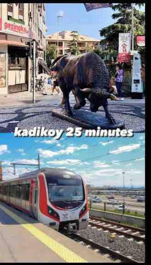 Kartal Lueks Daire Istanbul Eksteriør bilde